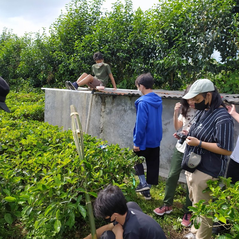 AES 0009 Bebas yang terbatas
