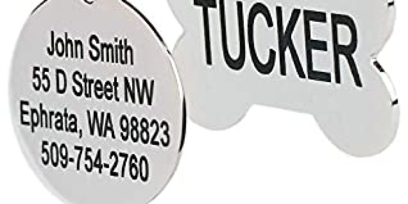 AES 466 Hewan Peliharaan