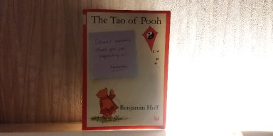 AES 15 Naluri Sang Beruang