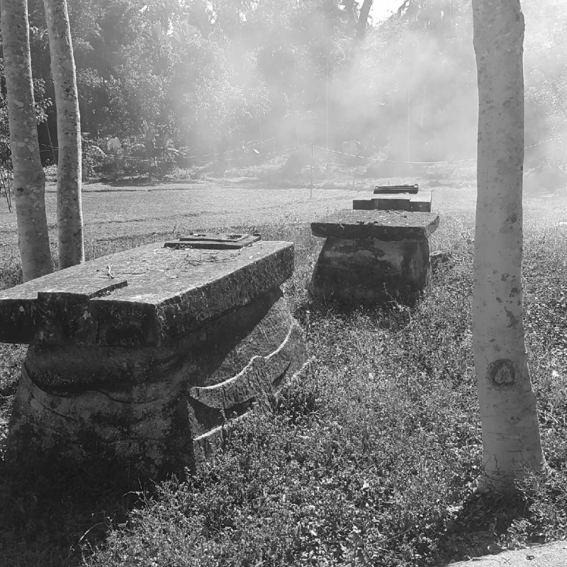AES410 JurnalSumba#9 Budaya Sumba
