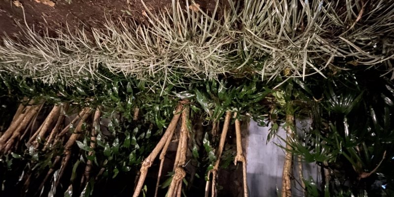 AES338 Lubang Kendali