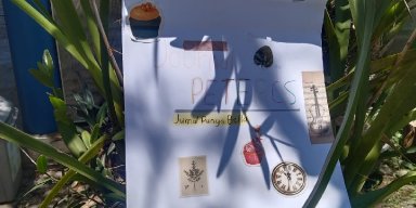 Jurnal rangkuman buku "Peter Cs"