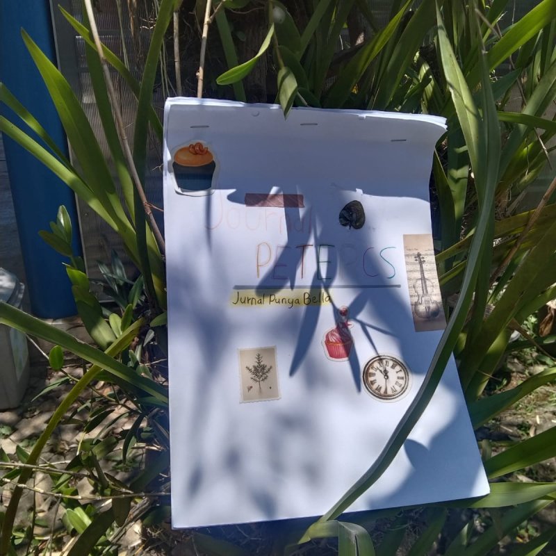 Jurnal rangkuman buku "Peter Cs"