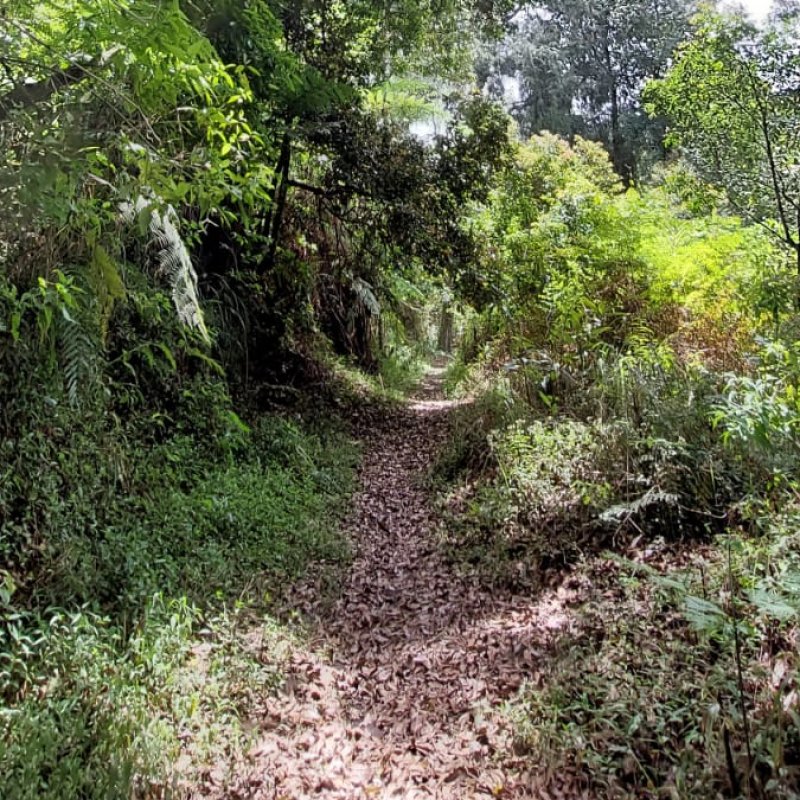 AES27 Menjadi Siapa Lagi? #4 Ruang Tualang