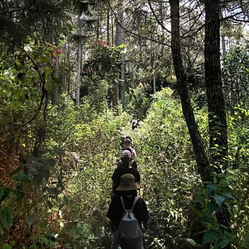 AES28 Menjadi Siapa Lagi? #5 Yakin, mau menyerah?