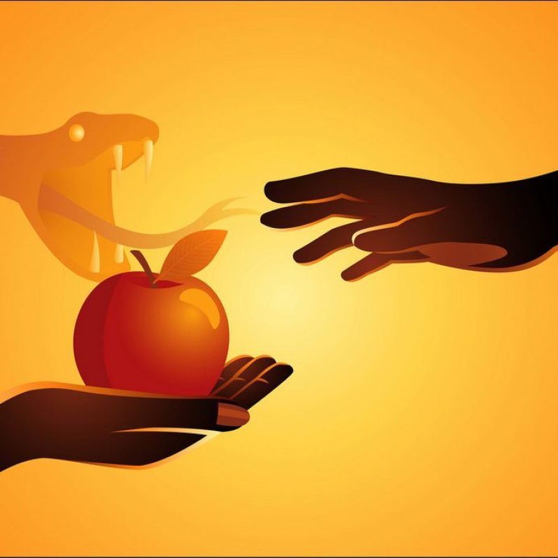 AES31 The Forbidden Fruit