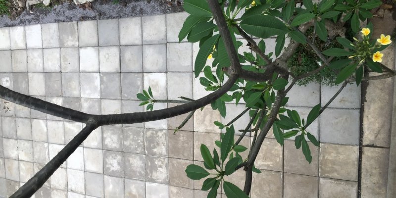 AES353 Sembilan Tahun Lalu