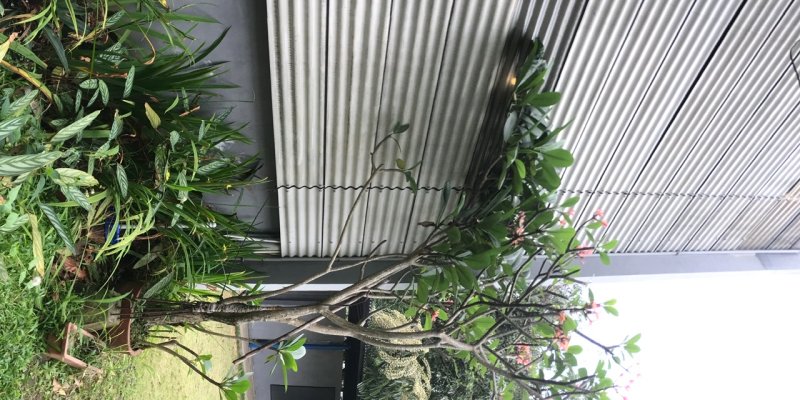 AES356 Enam Tahun Lalu