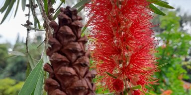 PERJALANAN PERTAMA KU