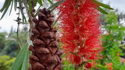 PERJALANAN PERTAMA KU