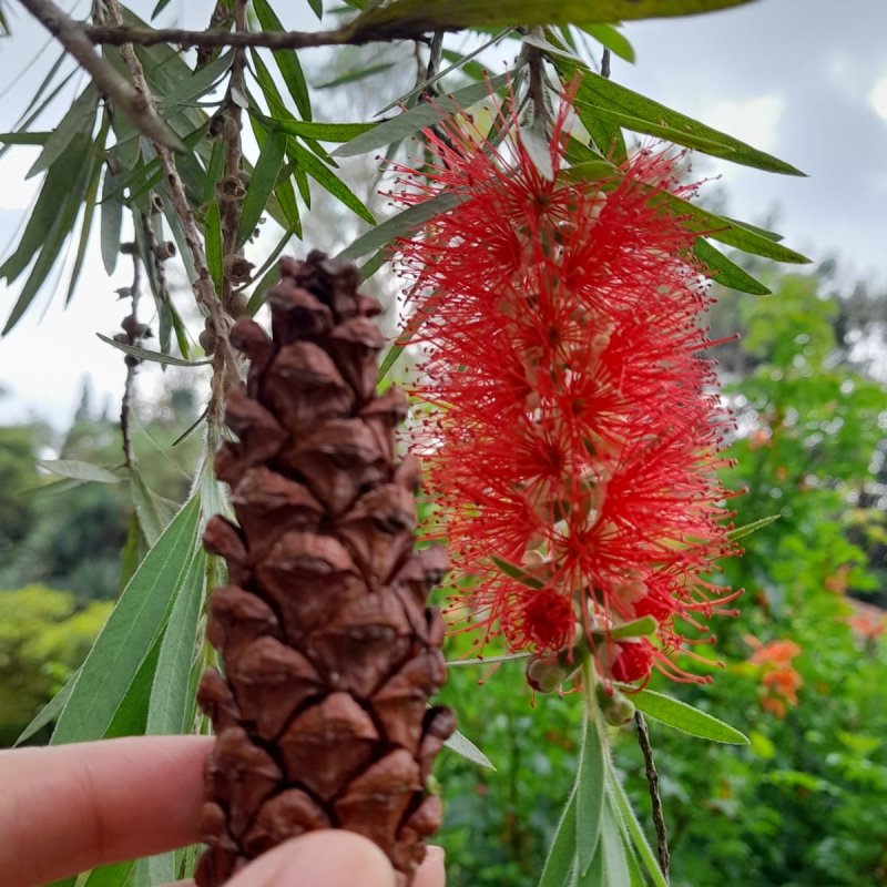 PERJALANAN PERTAMA KU