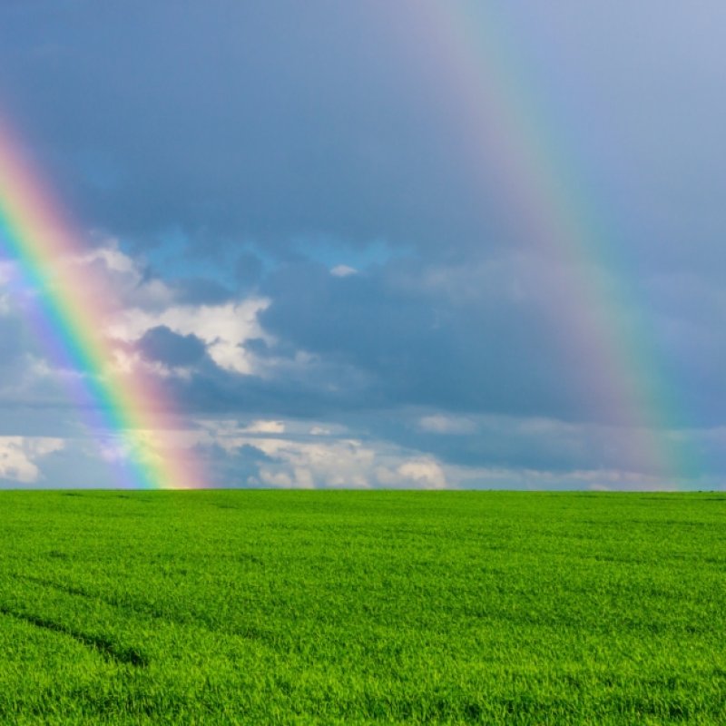 AES 507 Rainbow