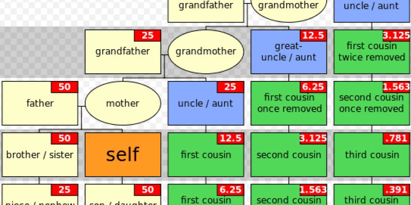 AES 520  First Cousin Twice removed (Rantau 5)