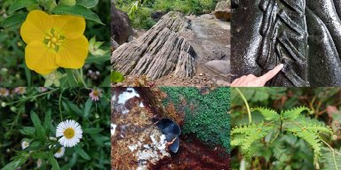 AES33 Tak Pernah Tamat Belajar #3 Geometri Alam