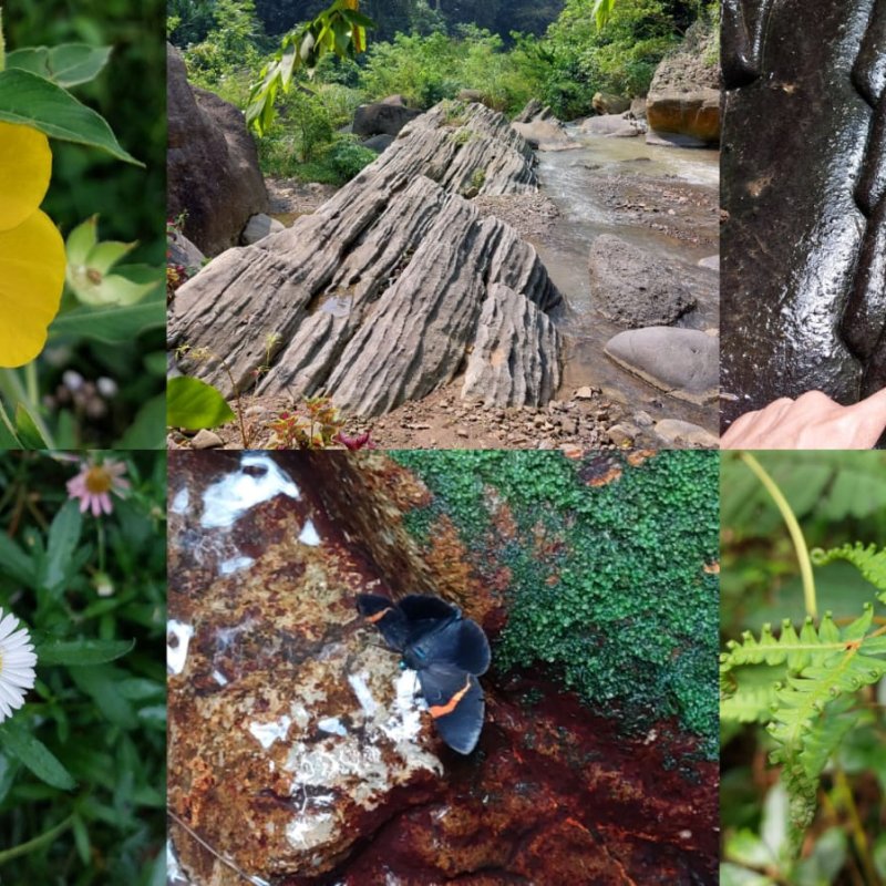 AES33 Tak Pernah Tamat Belajar #3 Geometri Alam