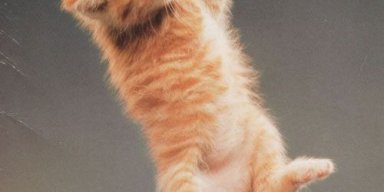 AES 523 Try To Hang On