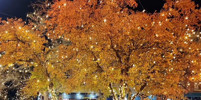 AES 531 City Lights
