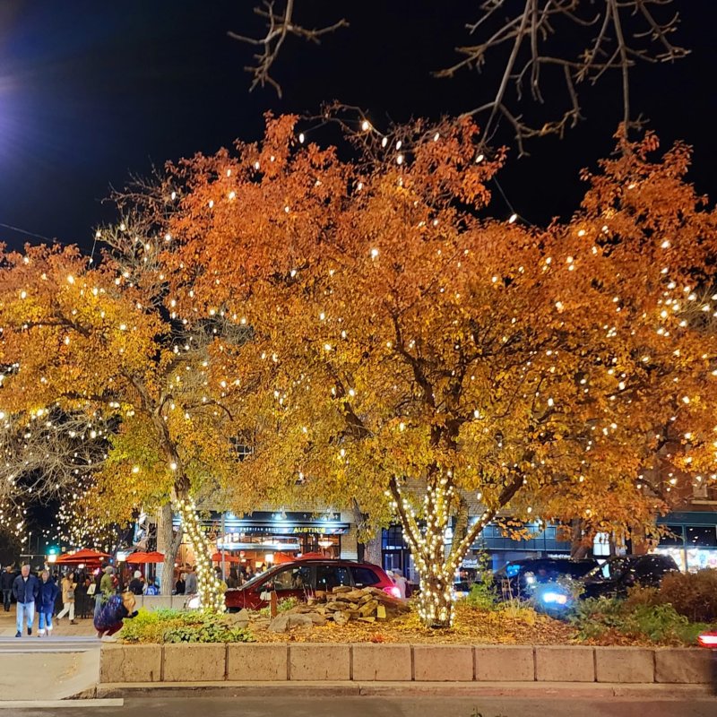 AES 531 City Lights