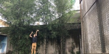 AES368 Microperfection