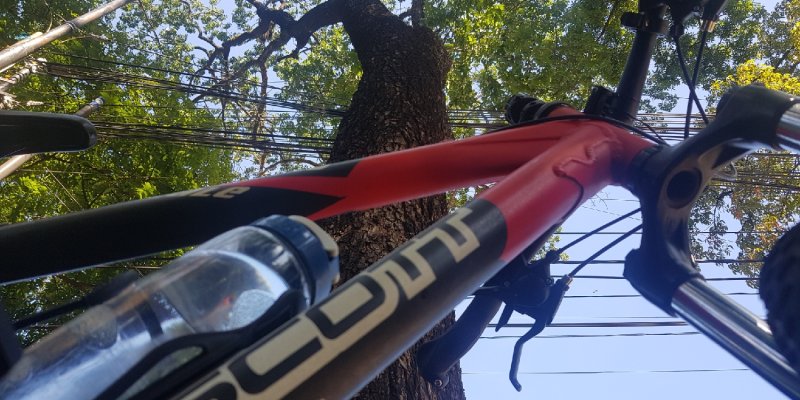 AES443 Leuleus (Gowes Paska Covid)