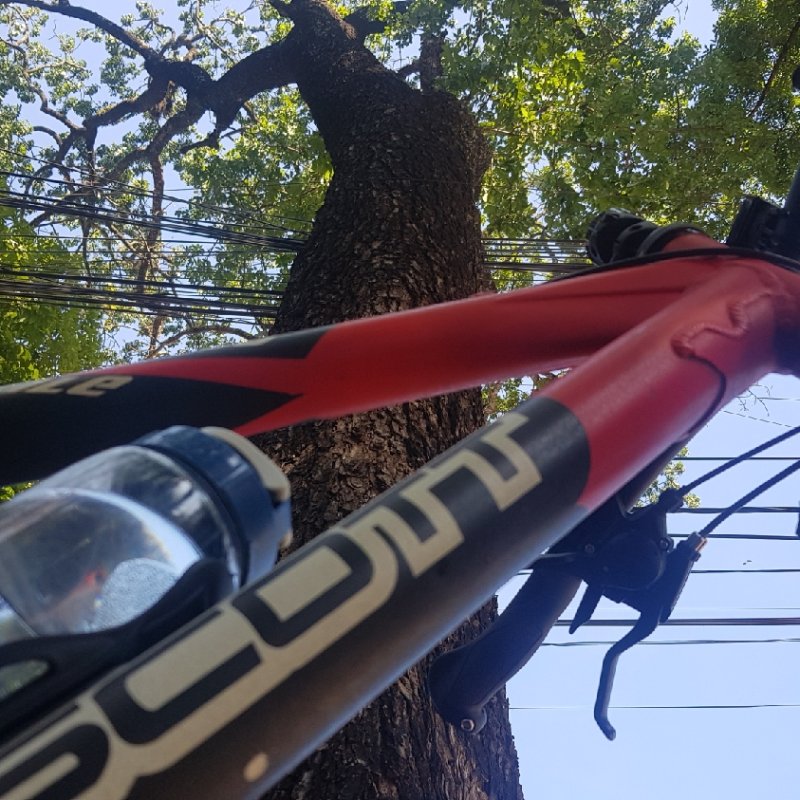 AES443 Leuleus (Gowes Paska Covid)