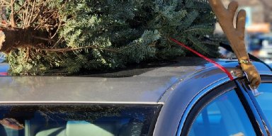 AES 576 Preparing For Christmas