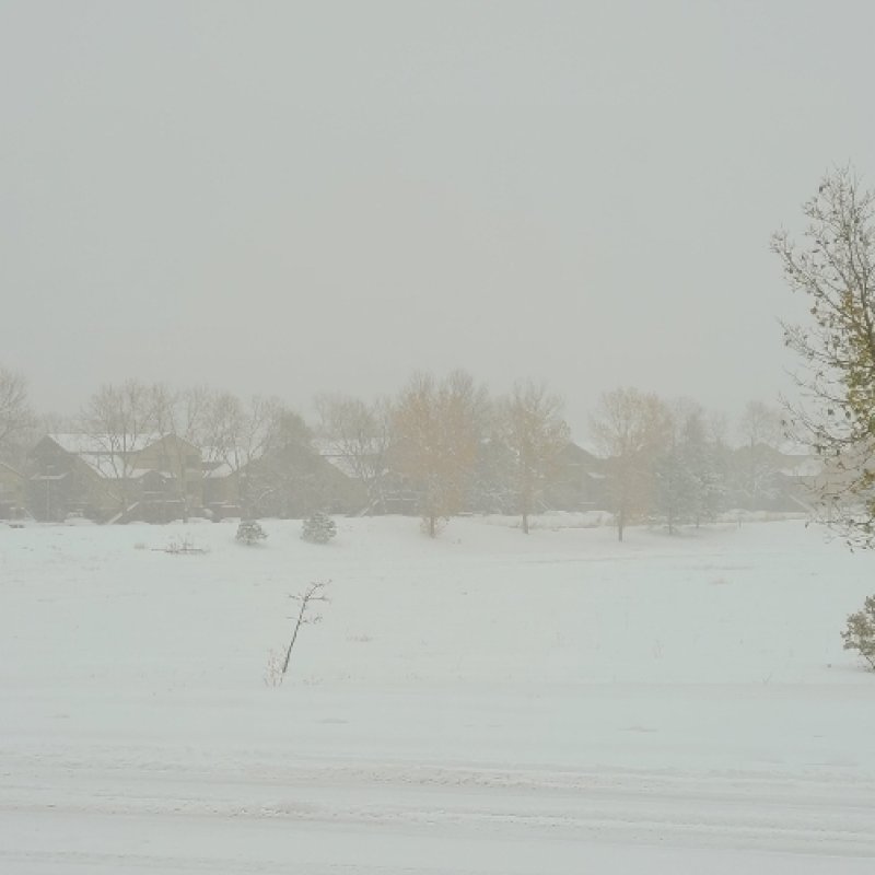 AES 578 Blizzard "Quarantine"