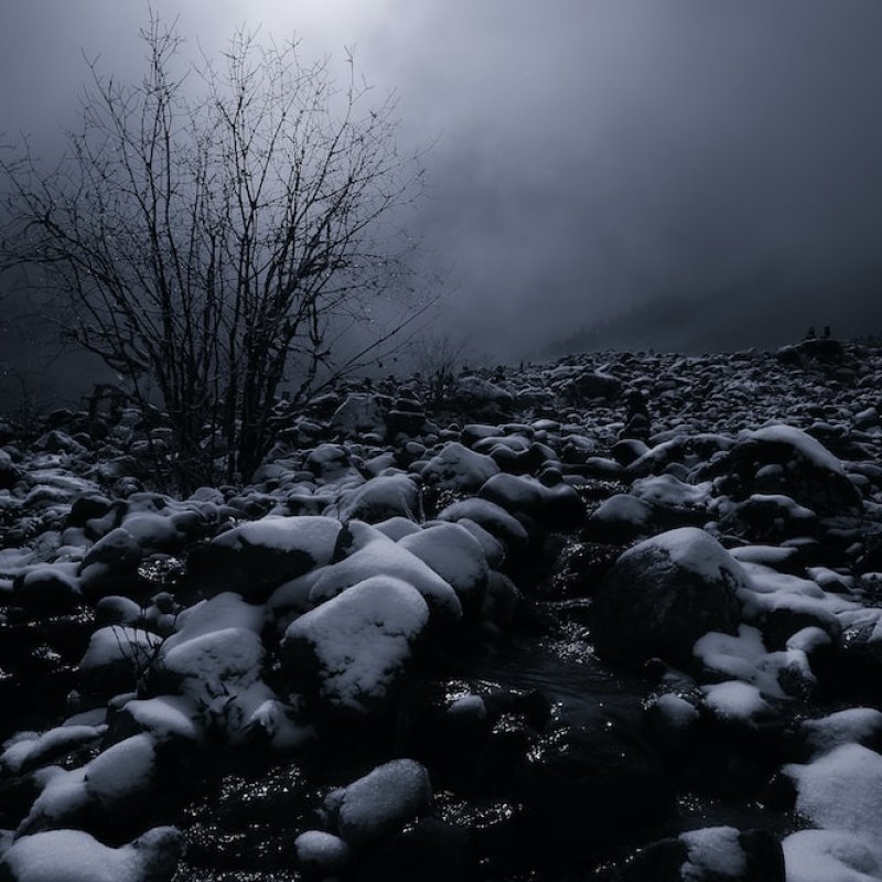 AES 594 Dark World