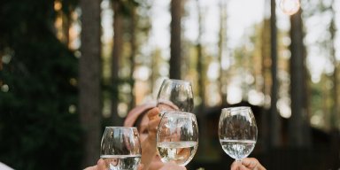 AES 595 Celebrating One's Life