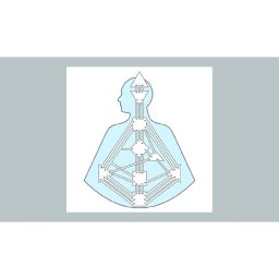 AES106 Berkenalan dengan Human Design