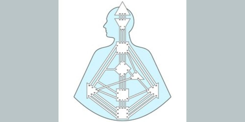 AES106 Berkenalan dengan Human Design