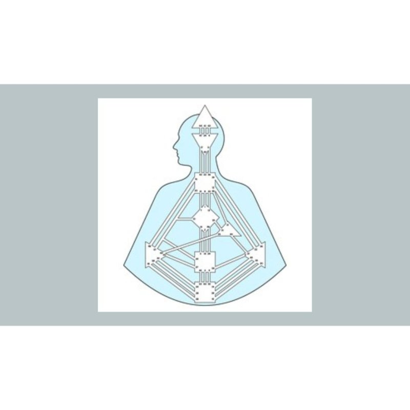 AES106 Berkenalan dengan Human Design