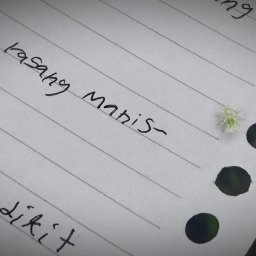 AES 18 Merayakan Kedirian