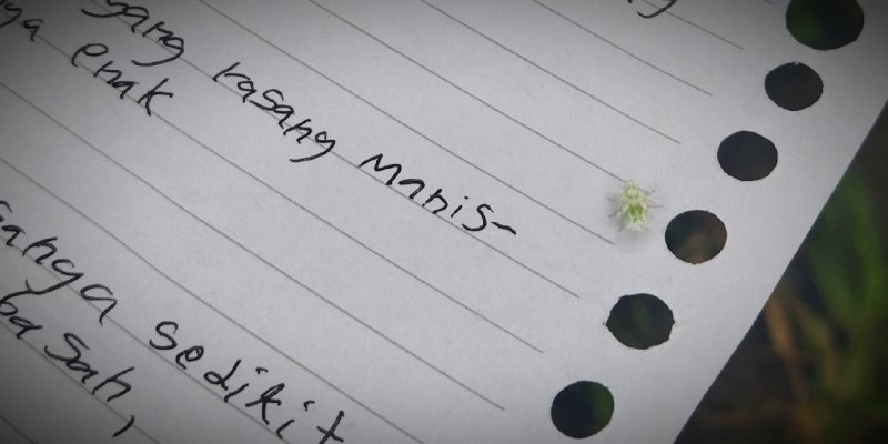 AES 18 Merayakan Kedirian