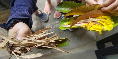 AES486 'Nasi Goreng' Spesial