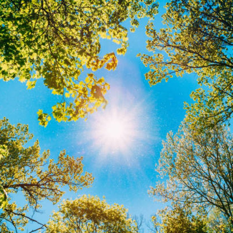 AES14 Sapaan Matahari Pagi