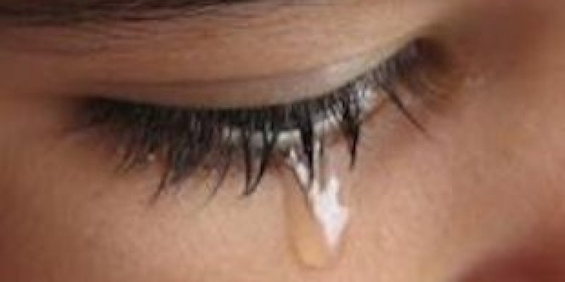 AES 648 Menulis & Kenangan Buruk