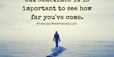 AES 652 Looking Back