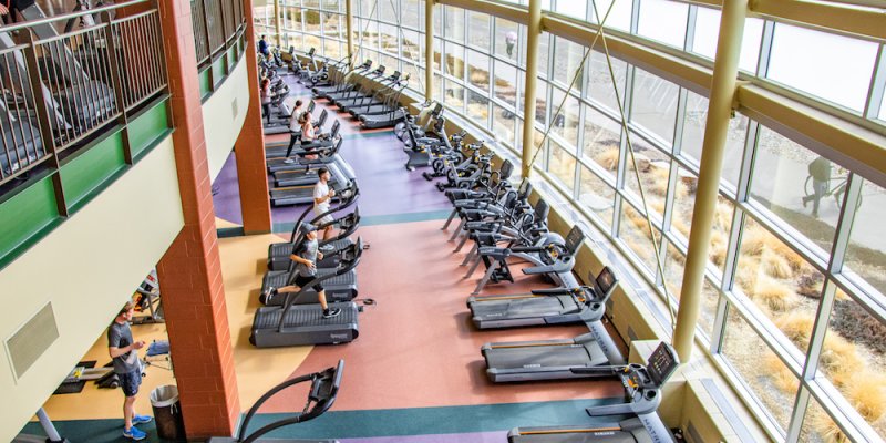 AES 653 Meracuni Atau Menulari