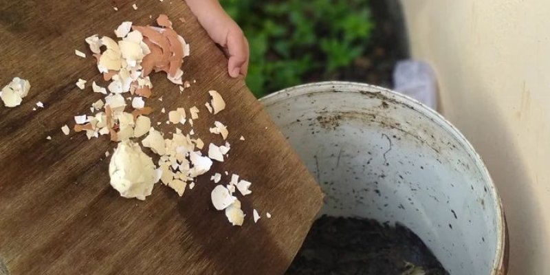 AES07 Kehilangan Makanan dan Perhatian