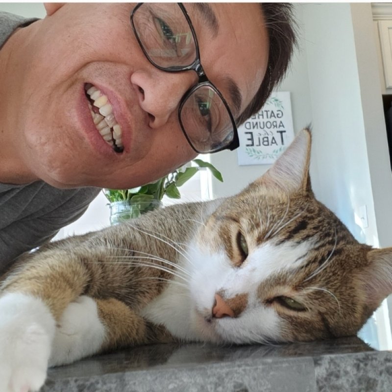 AES 666 Cat Sitting