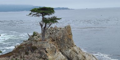 AES 679 Ketidakberdayaan Di Tengah Keajaiban