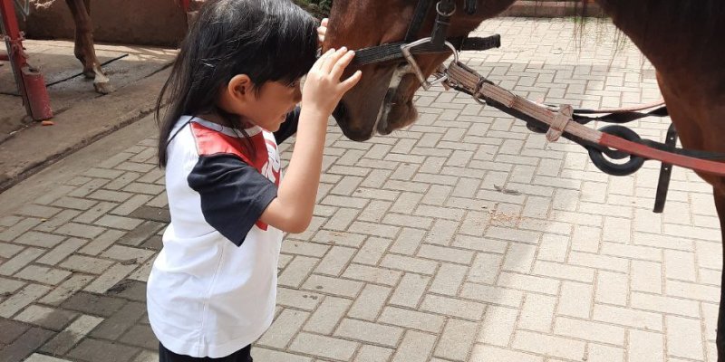 AES-05 Anak, Kepemimpinan, dan Berkuda. Apa hubungannya?