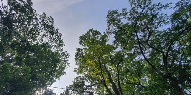 AES533 Menyapa Pagi #3