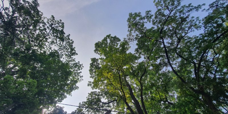 AES533 Menyapa Pagi #3