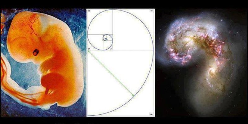 AES093 Literasi : Mengamati Sekeliling Kita