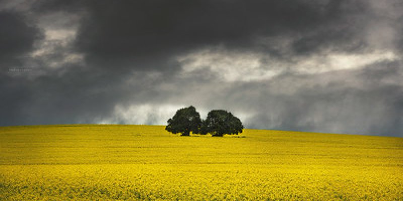 AES038 Mimpi di Desa (feat: Fields of Gold)