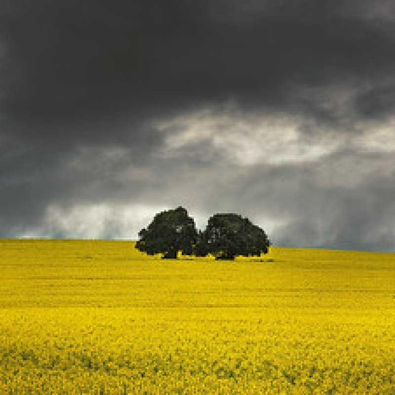 AES038 Mimpi di Desa (feat: Fields of Gold)