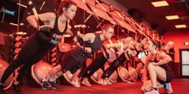 AES 779 Endocannabinoids