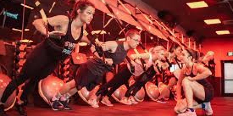 AES 779 Endocannabinoids